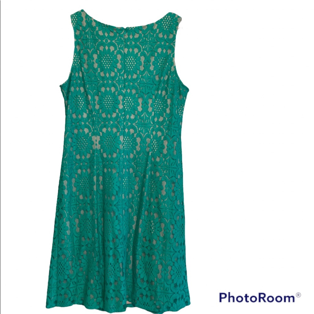 Eliza J | Green Lace Shift Style Dress - Picture 4 of 6